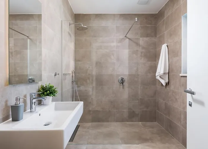 Old Olive Vii By Vivi Rent *